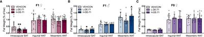 Developmental exposure to indoor flame retardants and hypothalamic molecular signatures: Sex-dependent reprogramming of lipid homeostasis